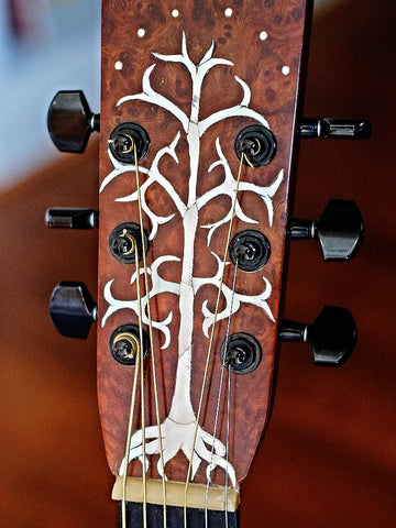 Czeiszperger guitar