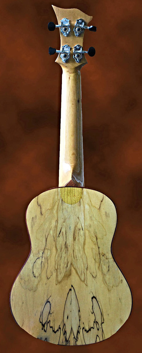 Concert Ukulele in Spalted Maple and Cedar - Back View