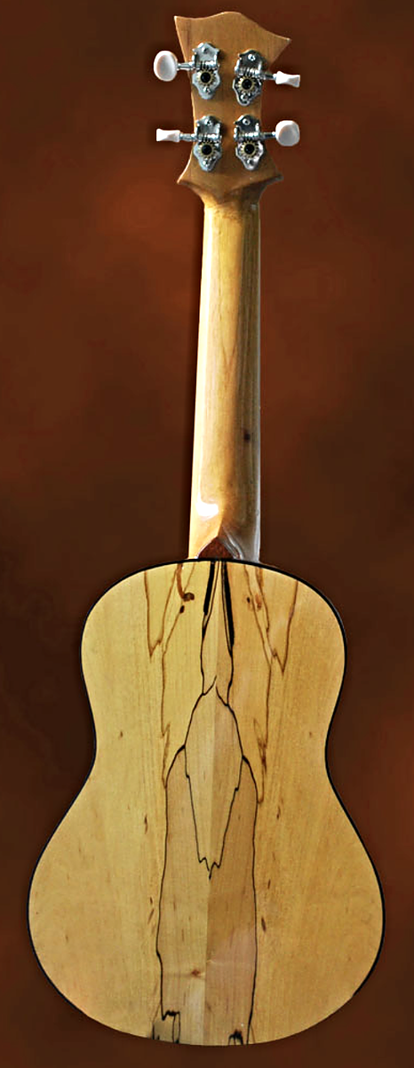 Concert Ukulele in Spalted Maple and Spruce